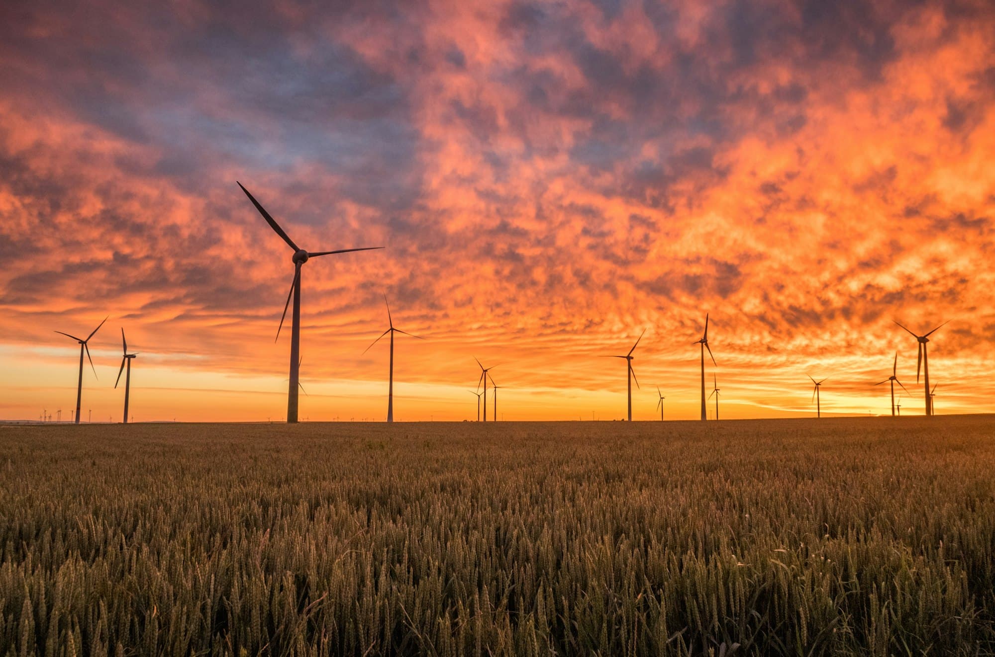 Aerogeneradores al atardecer